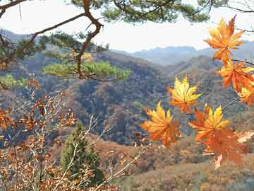 丰田汽车mpv有哪几款（丰田mpv有哪些车型）